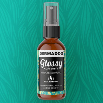 Glossy Coat Spritz 50ml